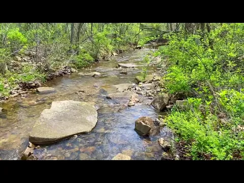 Video Ground JJI in creek Done