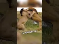 Download Lagu The Story of King Scar the Most Famous Lion in History #shortsviral #shortsfeed #shortsvideo #shorts