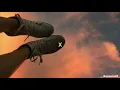 Ana Gabriela - X (Letra)