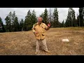 Remington Green and White Box 38sp vs Green and Yellow Box 38sp Ammo