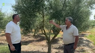 Këshillat e Prof. Dr. Shpend Shahinit në Terren