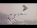 خارج السرب - رشاد كُمبال