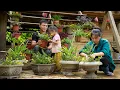 Download Lagu Making Flower Pots From Cement, Planting Flowers, Taking Care Of Vegetable Garden, Family Farm