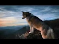 Game Of Thrones (Deep House Remix) - Alexandre Pachabezian