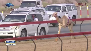 ش14 سليماني لـ حمد محمد علي الدرعي تأهيل المرموم الأسبوع الثاني 15 9 2023ص حقايق قعدان إنتاج 2 59 5 