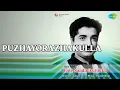 Download Lagu Puzhayorazhakulla  |  Ente Nandinikuttikku  |  K.J. Yesudas Songs  |  Jalaja  |  K.P. Ummer MP3