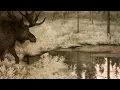 Ambient Music: Vindkaldr - Weeping at Stars | 1 Hour