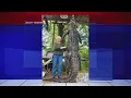 Grandmother kills gator in Livingston Texas