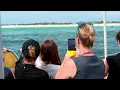 Ultimate Adventure Tour in Panama City Beach Paradise Adventures