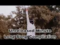 Lagu BoyWithUke Unreleased Minute Long Song Compilation (Part 2)