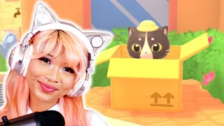 SugarStar Plays CATTO'S POST OFFICE!
