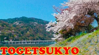 Download Togetsukyo Bridge, Kyoto in Cherry Blossom Season 🌺 渡月橋 🌺 Japan As It Truly Is MP3