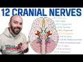 Download Lagu 12 Cranial Nerves