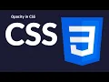 CSS opacity Transparent Div Background and image part 23 CSS tutorial for beginners in