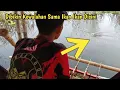 Download Lagu Dibikin Kewalahan Sama Ikan_Ikan Disini📍Mancing Cirata terbaru
