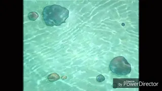 Spongebob One Krab S Trash Title Template Without Voice 2002 