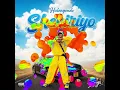 Shepiriyoo - Hulengende feat Ghost Magician { Official Visualizer } Tsvimbo Mutauro Album 