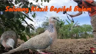 Download Saluang Klasik Bapikek Balam MP3