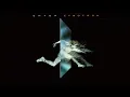 Cybotron - Clear (Jose "Animal" Diaz Remix) (Official Audio / From the album "Enter")