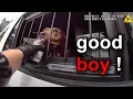 When K-9 Units Take Down Bad Guys