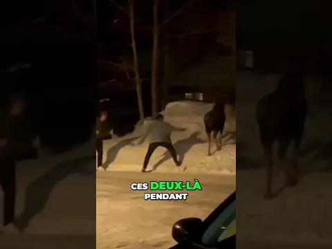 Faut Mieux Rester À Distance Ces Deux Là !