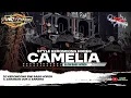 Download Lagu DJ CAMELIA (Sudahlah Jangan Menangis Lagi) || Keroncong Bwi ● Jaranan Dor ● Sakera Style