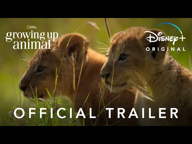 Growing Up Animal | Official Trailer | Disney+