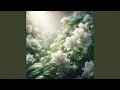 Download Lagu A Bench Between the Blossoms