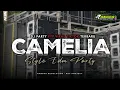 Lagu DJ CAMELIA IRWANSYAH PARTY STYLE - TERBARU VIRAL TIKTOK ‼️