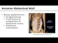 Download Lagu Abdominal Wall