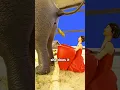 Download Lagu Jak powstaje najdroższa kawa świata? 💩