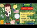 Form 8862 Welfare Benefits Other Credits Income Tax 2023