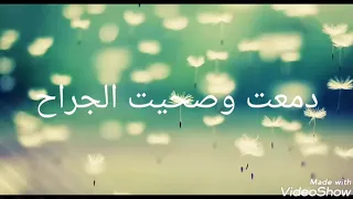 اجمل نغمات حمزة نمرة   مووودي دندنها