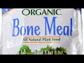 Benefits of BONE MEAL and How to Use It to INCREASE PHOSPHORUS Organic Hawaii Gardening Tips