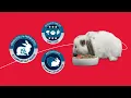 Kaytee Forti-Diet Pro Health Rabbit Food Healthy Gut Happy Bunny
