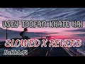 Download Lagu Usey Toofan Kehte Hai: (SLOWED X REVERB)SadhanaSargam, Amit Kumar, Alka Yagnik, | Vishwatma Songs