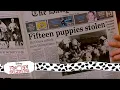 Download Lagu Pongo \u0026 Perdita On The Run | (10/15) Movie Scenes | 101 Dalmatians (1996) HD