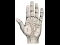 Download Lagu Your Destiny Is In The Palm of Your Hand