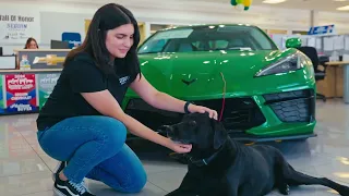 Livin the Dream in Seguin Seguin Chevrolet