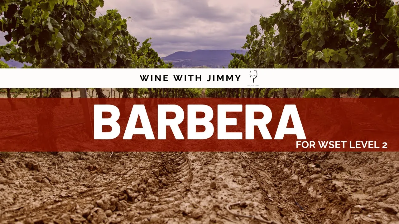 Grape Varieties - Barbera Intermediate Version ideal for WSET Level 2 Wine