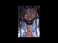 "Pull It Up" Buju Banton (feat. Beres Hammond) (live)