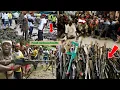 Lagu 15 bandieten overmeesterd door militant van River State |Asari Dokubo|Funali Herdsmen