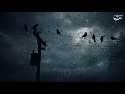 Blues Music 2017 Vol 8 Mix Songs