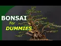 Starting with bonsai made easy An overview to start growing bonsai