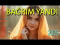 Download Lagu Bağrım Yandı | Yepyeni Derin Duygusal Damar Şarkı (2025 Senanka)
