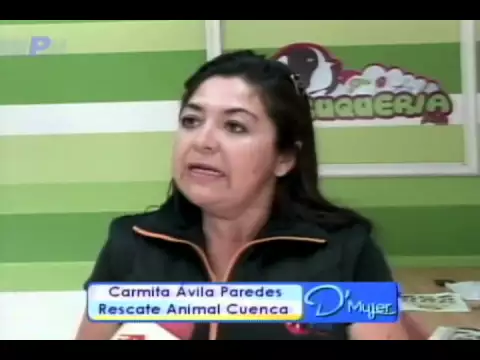 Razones para adoptar una mascota