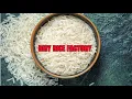 Download Lagu BASMATI  Vs SELLA RICE #rmy  #international #rice  #basmatirice  #sellarice