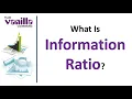 Portfolio Part 31 - Information Ratio