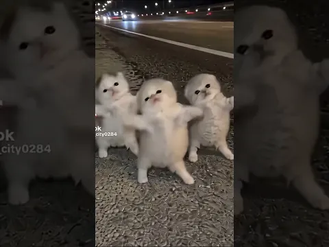 #funny