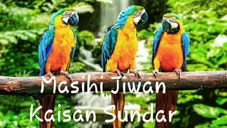 masihi jiwan kaisan sundar sadri devotion christian song 